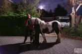 Halloween Strijen 2023