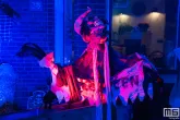 halloween-strijen-2024-1667-26